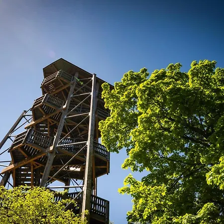 Aparthotel Residenz Royal Gmund (Lower Austria)