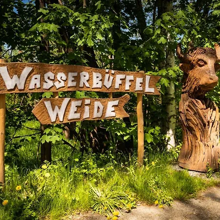 Residenz Royal 4* Gmund (Lower Austria)