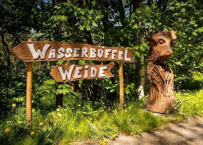 Residenz Royal 4* Gmund (Lower Austria)