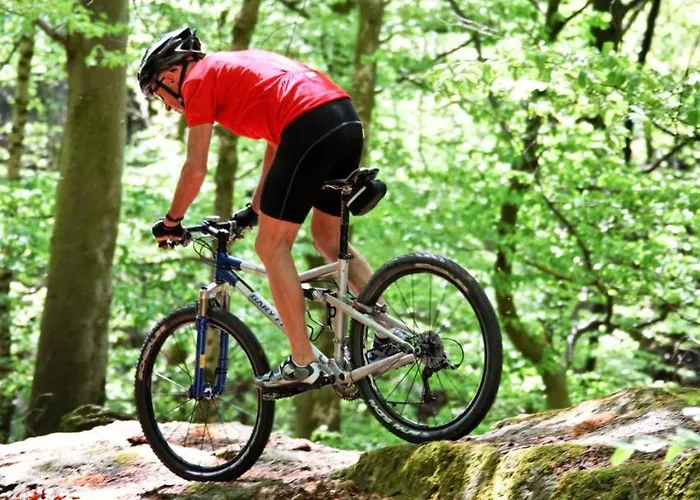 Residenz Royal 4* Gmund (Lower Austria)